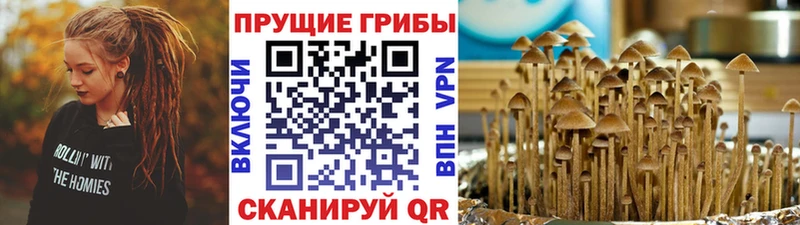 кракен зеркало Черемхово Галлюциногенные грибы MAGIC MUSHROOMS